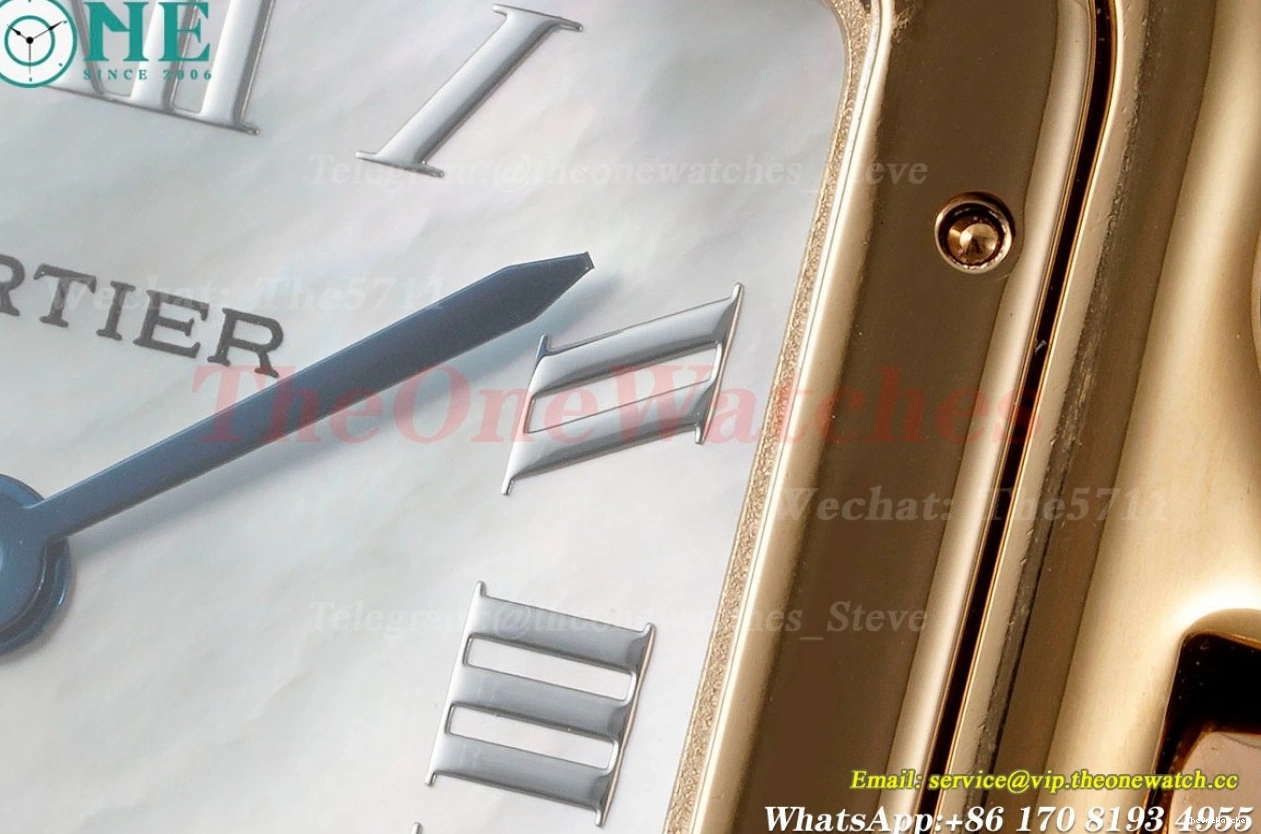 Secrete RG Ladies De RG Quartz Panthere Dial AF 27mm Mop 0123